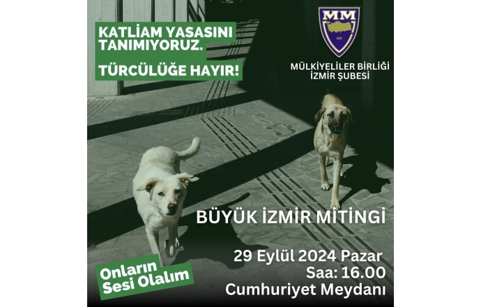 Sokak Hayvanları İçin Mücadele Çağrımız